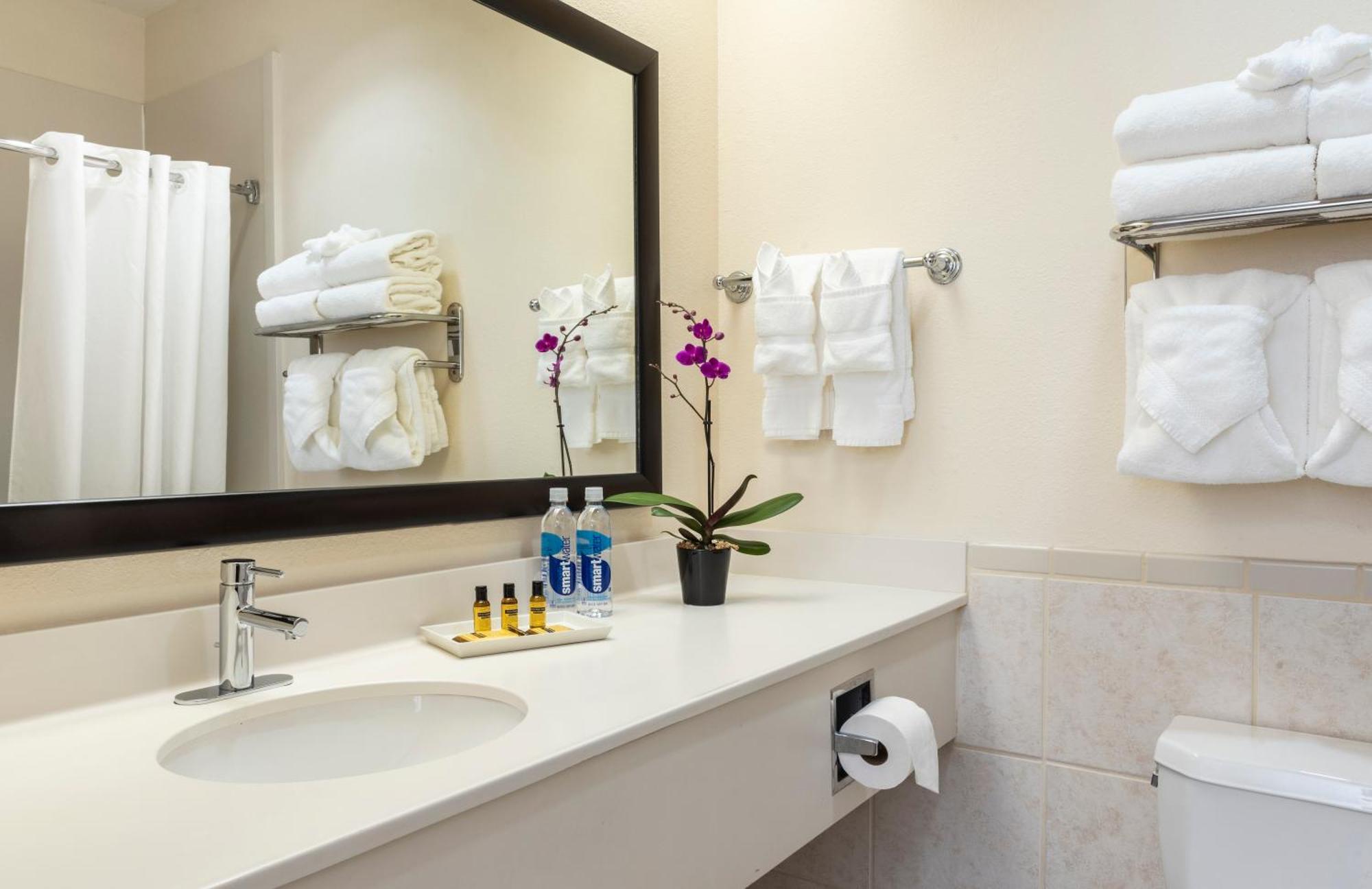 Best Western Plus Downtown Inn & Suites Χιούστον Εξωτερικό φωτογραφία