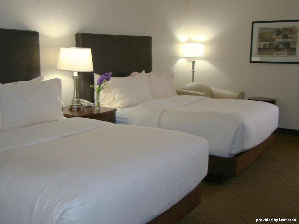 Best Western Plus Downtown Inn & Suites Χιούστον Δωμάτιο φωτογραφία